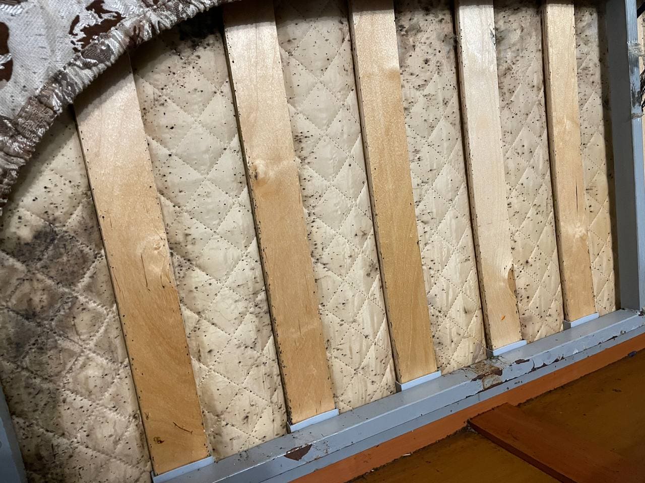 Уничтожение клопов в матрасе
